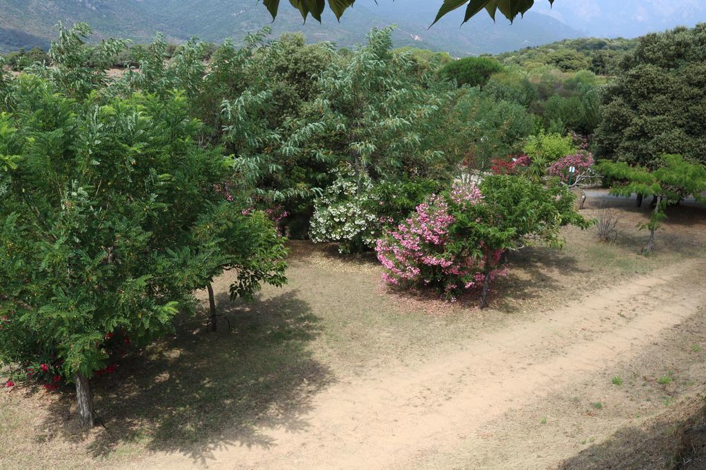 Camping Les Couchants Casaglione Zewnętrze zdjęcie